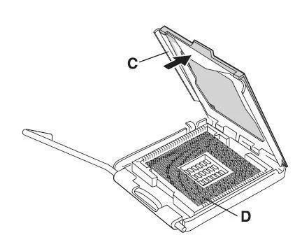 Dΰb CPU