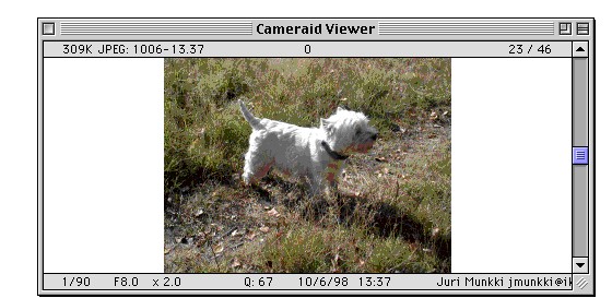 Digital Camera Utility(sh)aC(j)DƬdDĽ̌W(xu)